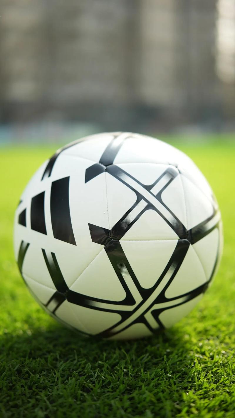 澳客竞彩官网版专家分析团队